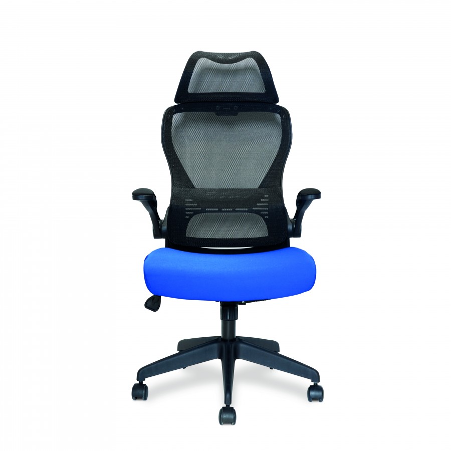 Canis High Back Mesh Office Chair